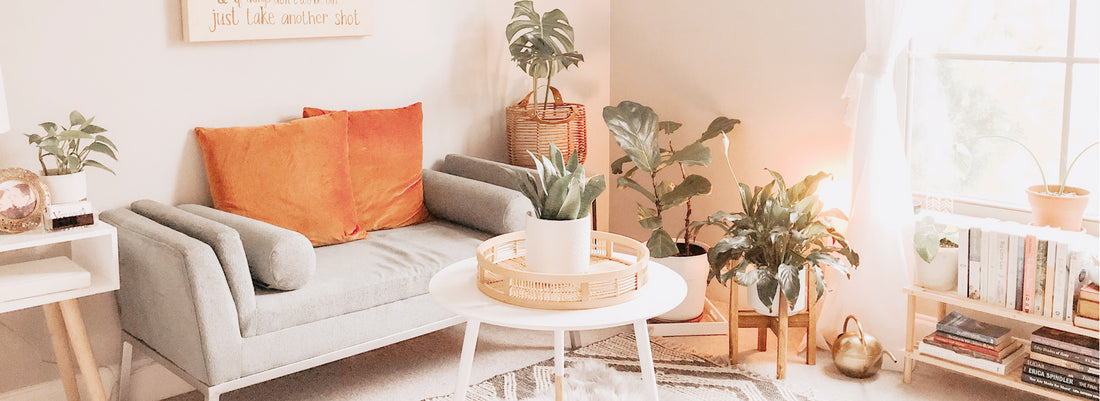 Couch, chairs, cozy, living room