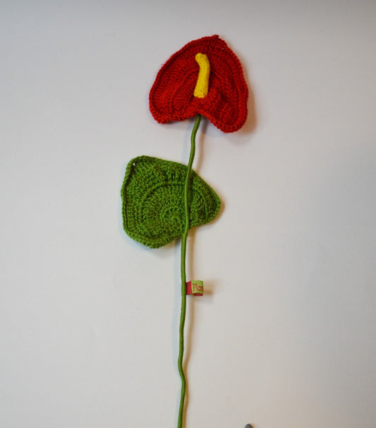 Anthurium