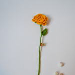 Crocheted yellow rose on a white background