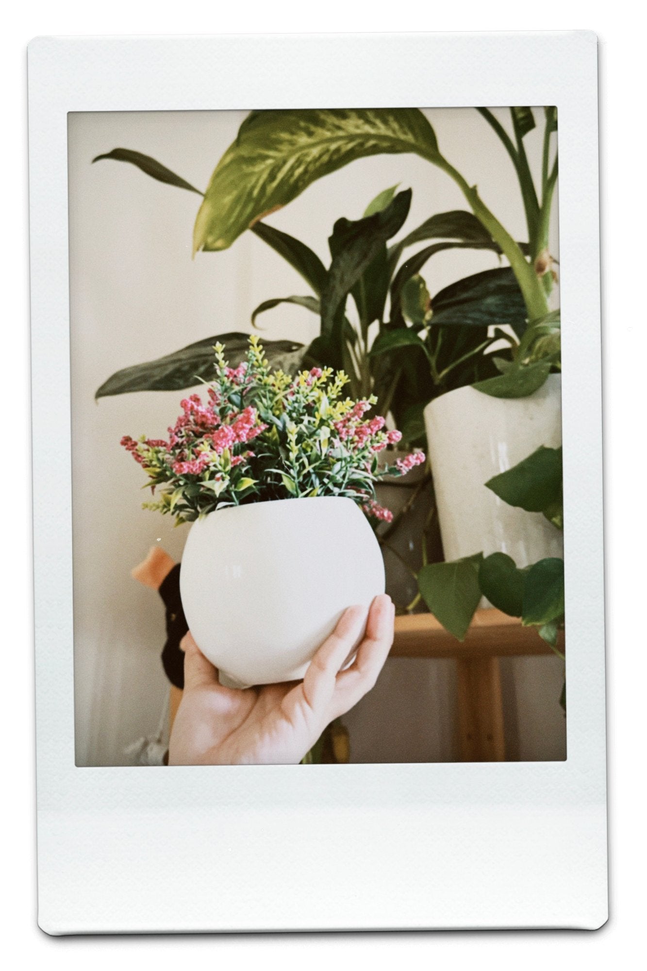 Pflanztopf Modell C101